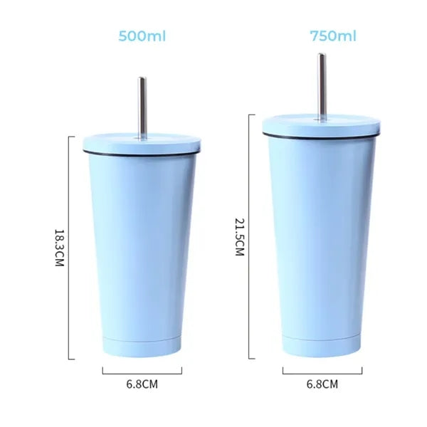 Double Wall Tumbler Cup With Straw