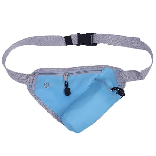 Fanny Waist Pack