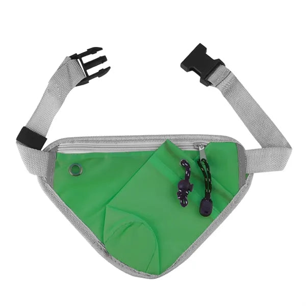 Fanny Waist Pack