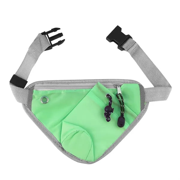 Fanny Waist Pack