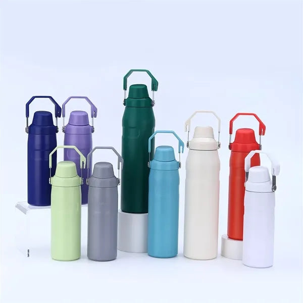 24oz Stainless Steel Sport Bottle With Handle Lid