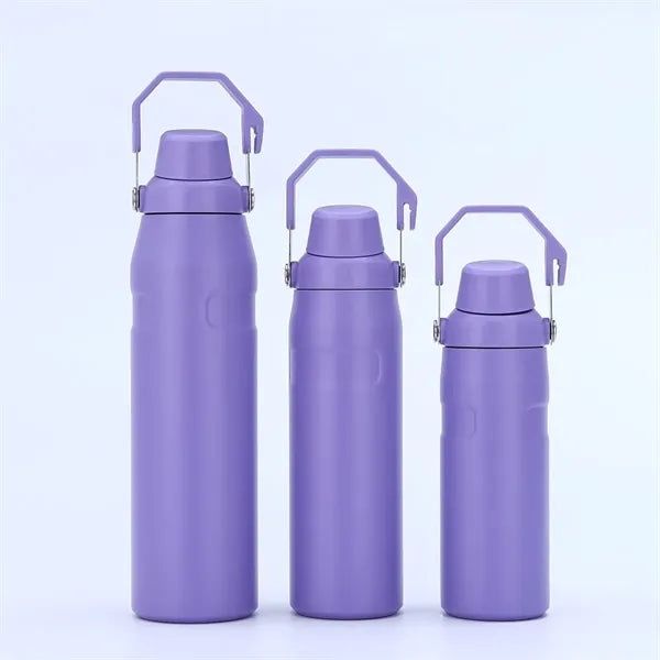 24oz Stainless Steel Sport Bottle With Handle Lid