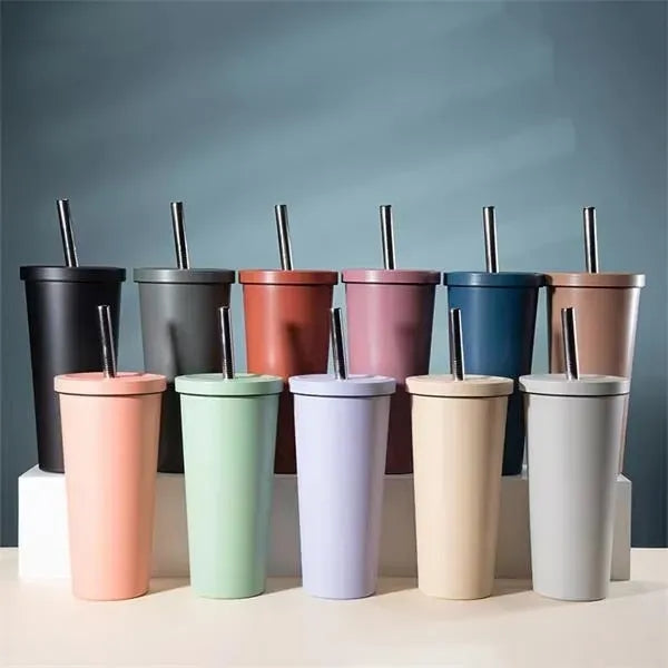 24oz Stainless Steel Vacuum Insulated Tumbler with Straw Lid