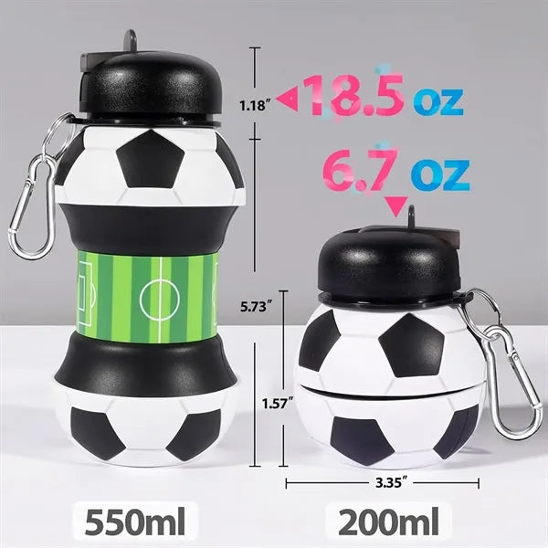 Collapsible Water Bottle 19 Ounce