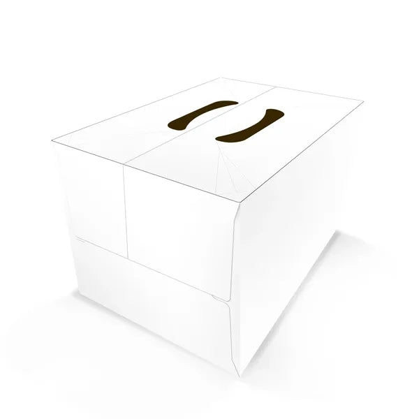 Beverage Boxes - 12-pack 12 oz Slim Can Boxes Auto-Bottom