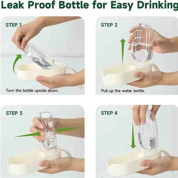 Pet Water Bottle and Bowl