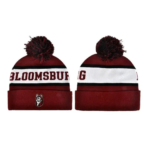 Knit Beanie with Cuff and Pom