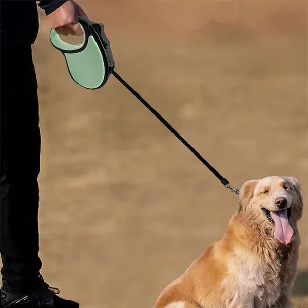 Nylon Dog Leash