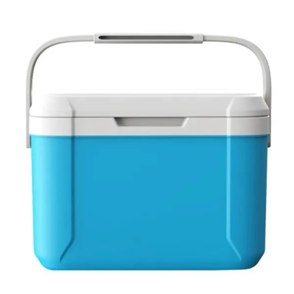 Portable 5.5L Insulated Cooler with Handle