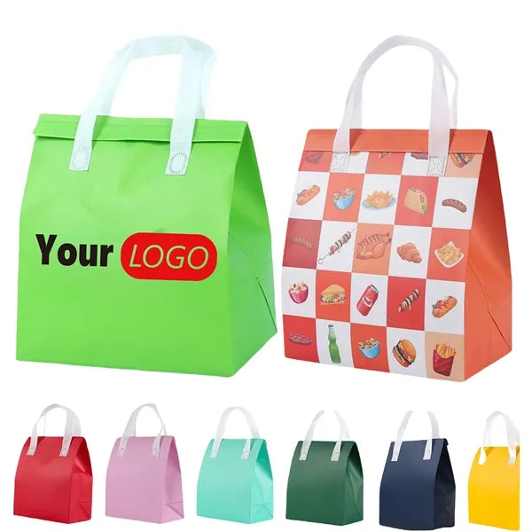 Insulated Portable Picnic Cooler Bag