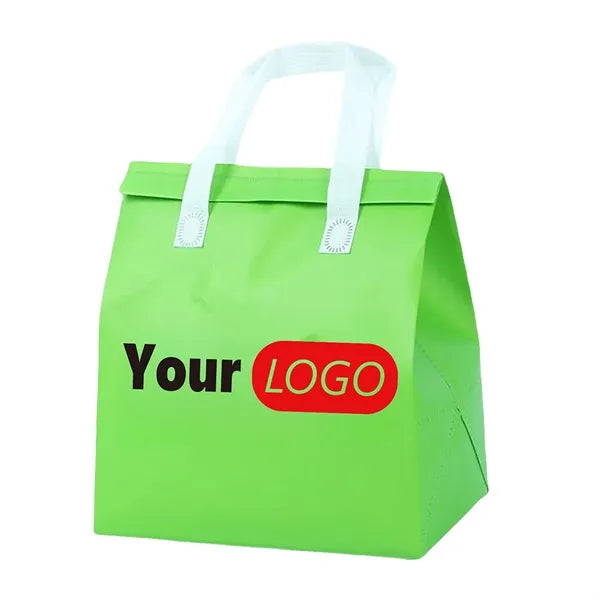 Insulated Portable Picnic Cooler Bag