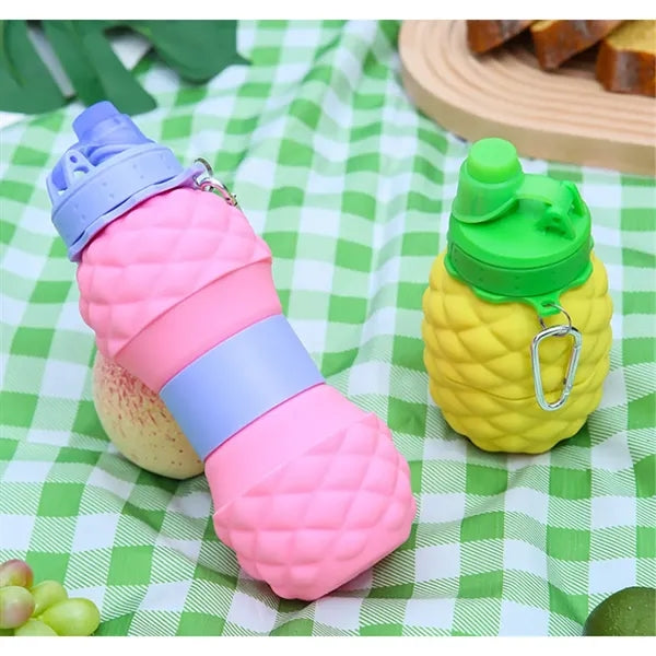 Fruit Folding Water Bottle