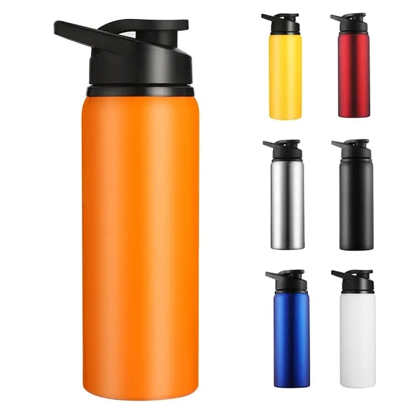 24oz Stainless Insulated Bottle