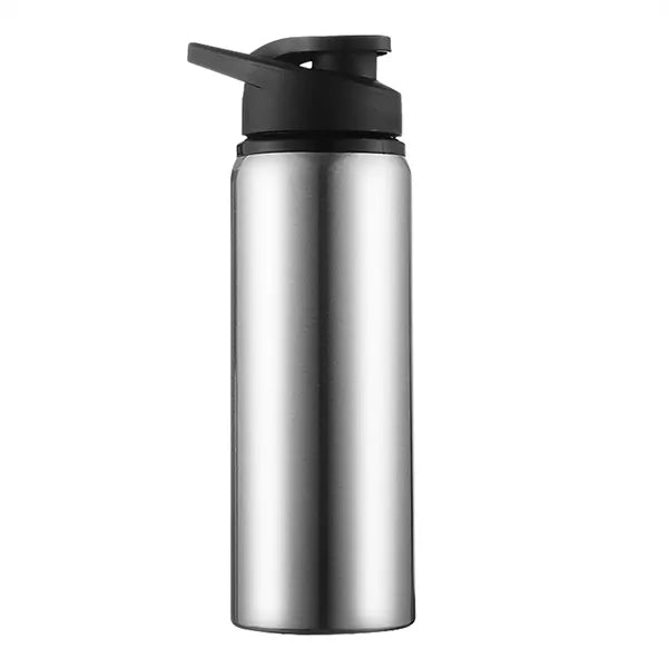 24oz Stainless Insulated Bottle