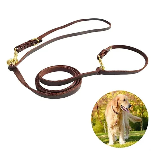 Leather Braided Dog Leash