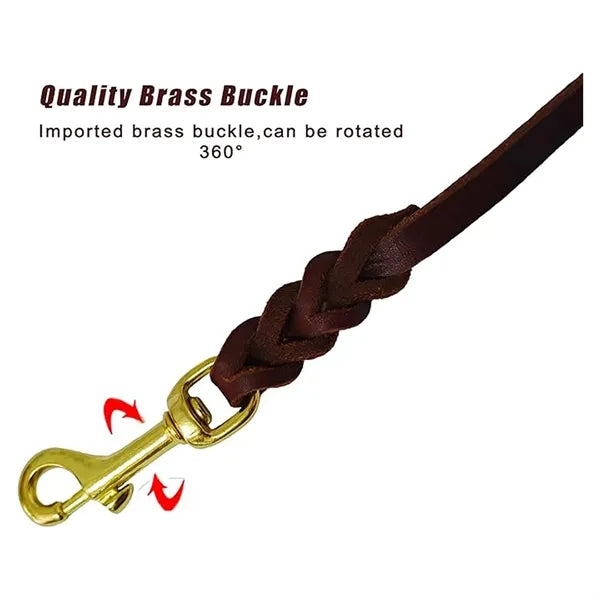 Leather Braided Dog Leash