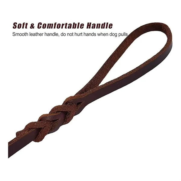 Leather Braided Dog Leash