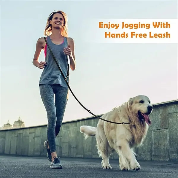Leather Braided Dog Leash