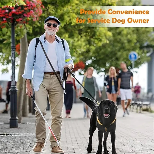 Leather Braided Dog Leash