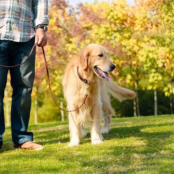 Leather Braided Dog Leash