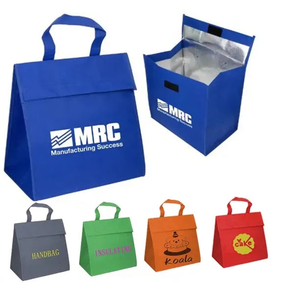 Hand-held portable waterproof insulated bag