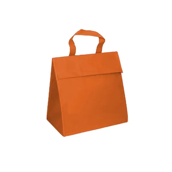 Hand-held portable waterproof insulated bag