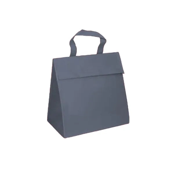 Hand-held portable waterproof insulated bag