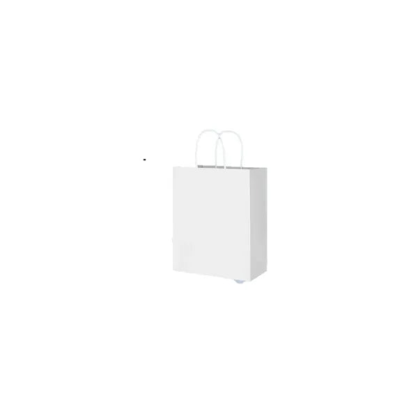 Kraft Paper Retail Shopping Bag