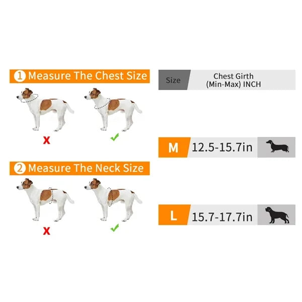 Dog Harness Vest Tow Rope Comfortable Leash Set