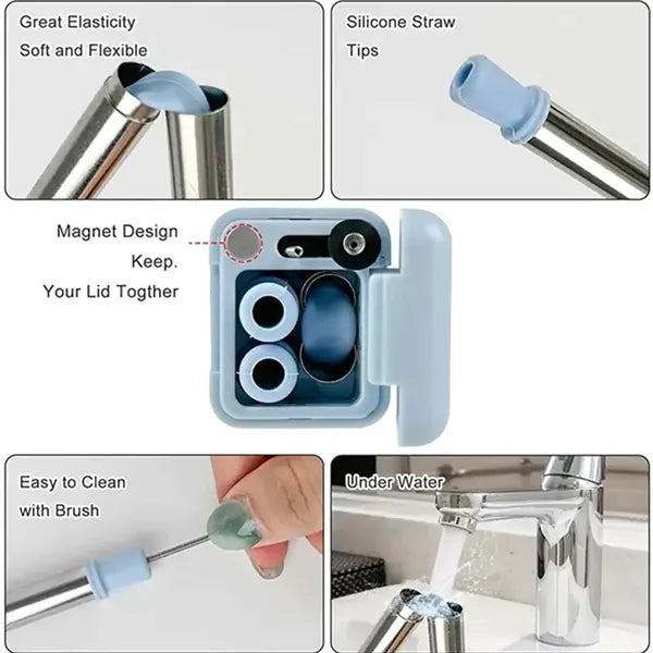 Collapsible Stainless Steel Straw W/Travel Case