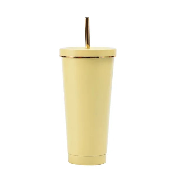 17oz Metallic Coffee Tumbler Insulated Metal Cup