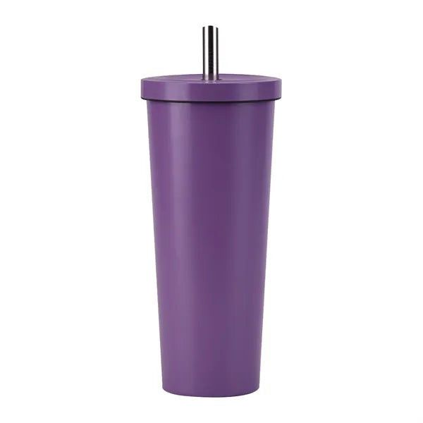 28 oz. Insulated Tumbler Cup with Straw