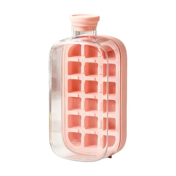 Ice Cube Tray & Water Bottle