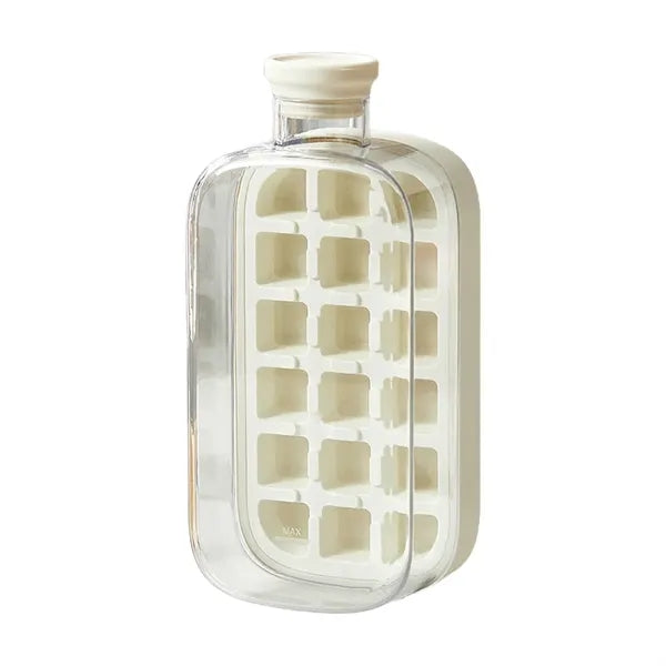 Ice Cube Tray & Water Bottle