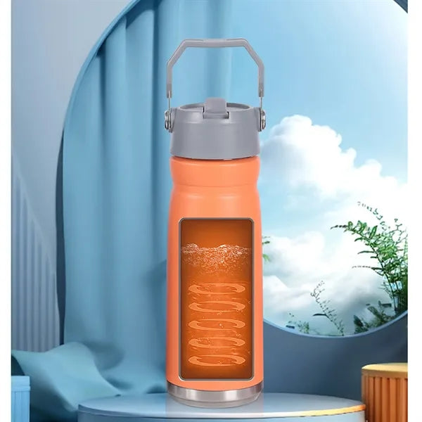 22 oz. Portable Straw Water Bottle