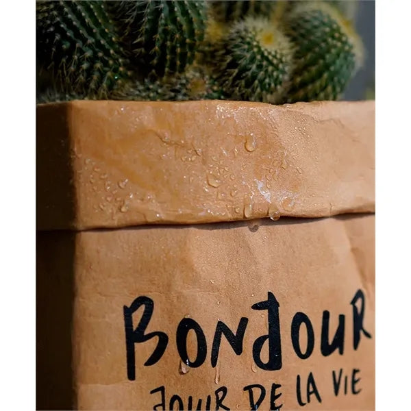 5.9'' Washable Kraft Paper Bag