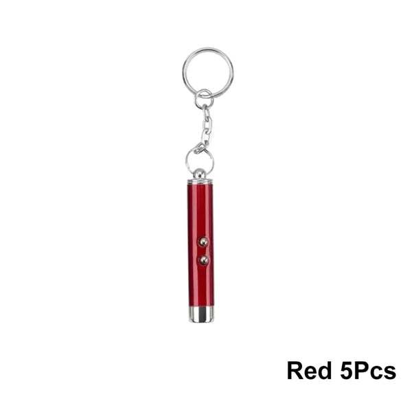 Handheld Laser Keychain for Pets