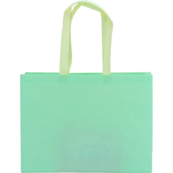 Clothing store laminated non woven shopping bag