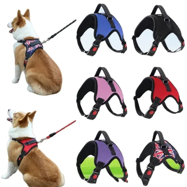 Pet supplies chest harness leash