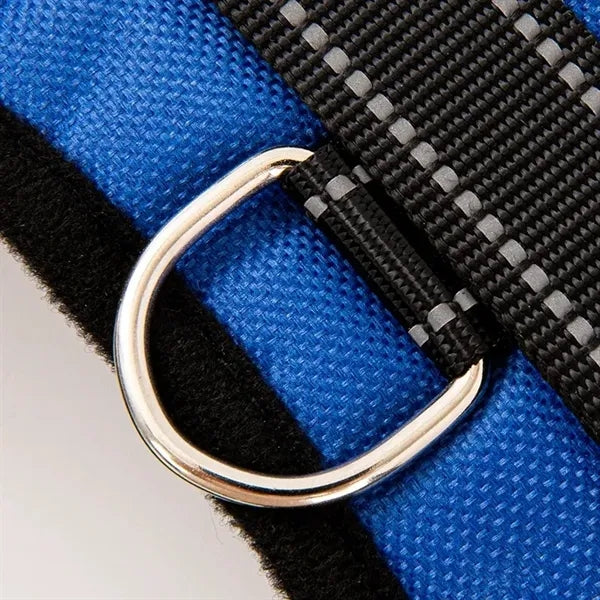 Pet supplies chest harness leash