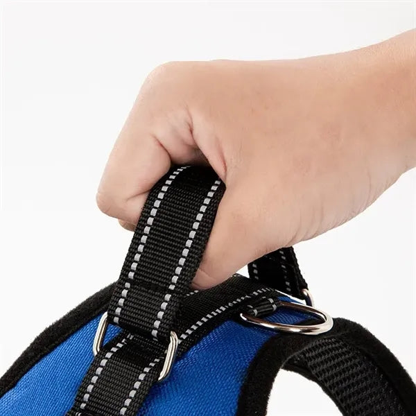 Pet supplies chest harness leash
