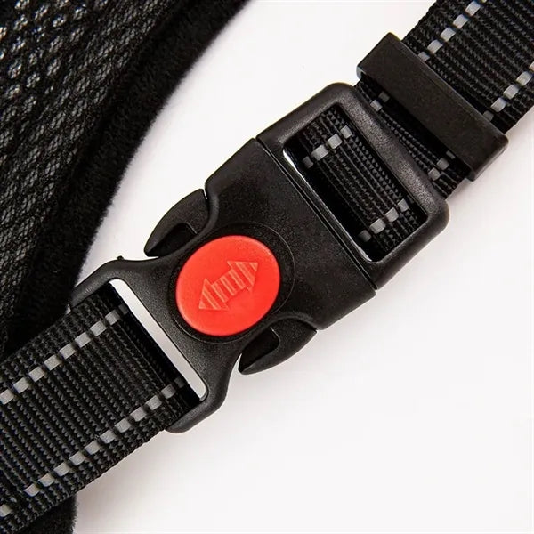 Pet supplies chest harness leash