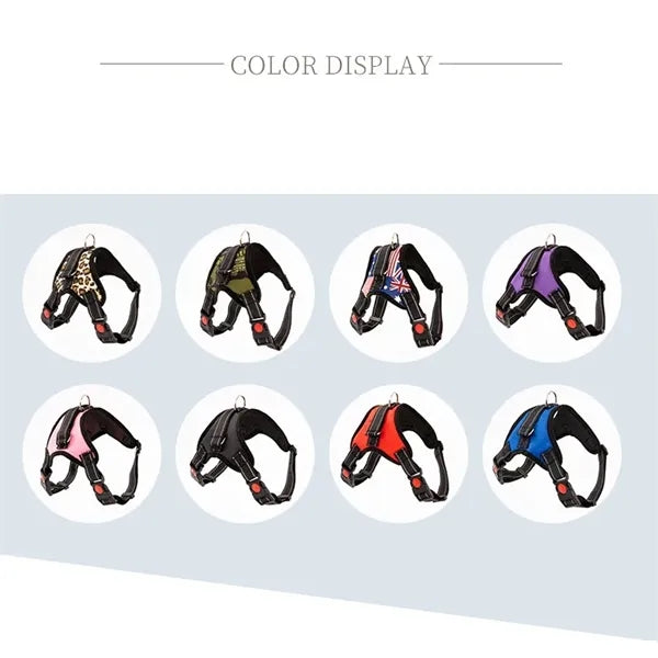 Pet supplies chest harness leash