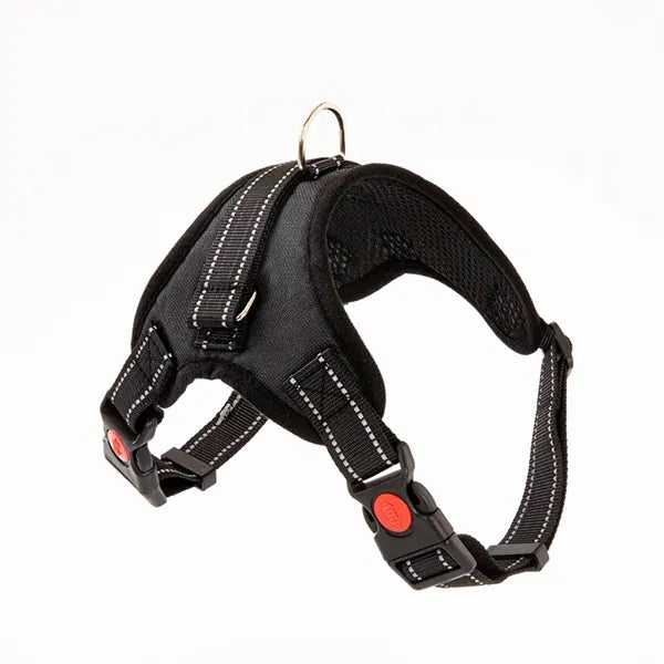 Pet supplies chest harness leash