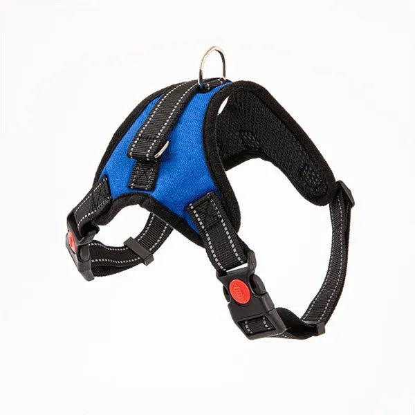 Pet supplies chest harness leash