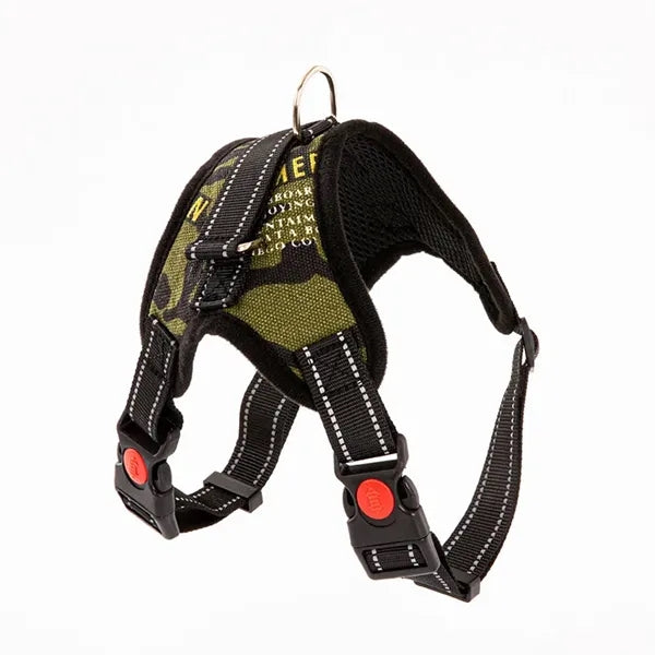 Pet supplies chest harness leash