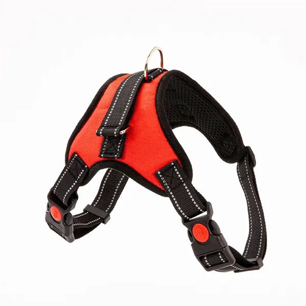 Pet supplies chest harness leash