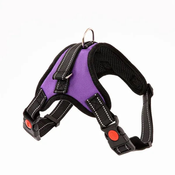 Pet supplies chest harness leash