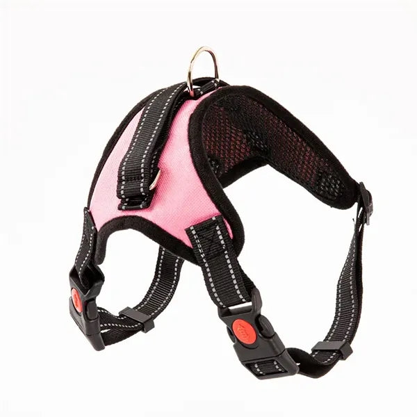 Pet supplies chest harness leash