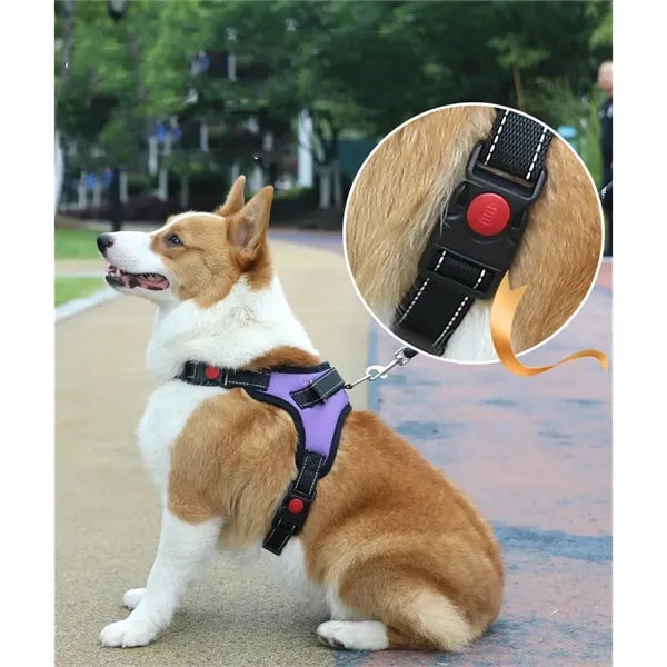 Pet supplies chest harness leash